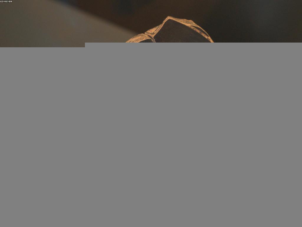 យុទ្ធសាស្ត្រការលេង: ដំណាក់កាលសំខាន់ក្នុងការអភិវឌ្ឍន៍សមត្ថភាព