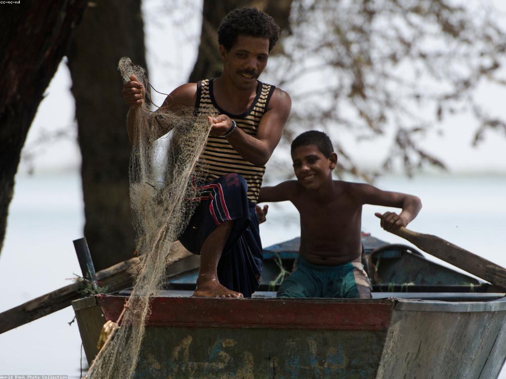 យុទ្ធសាស្ត្រការលេង: ដំណាក់កាលសំខាន់ក្នុងការអភិវឌ្ឍន៍សមត្ថភាព